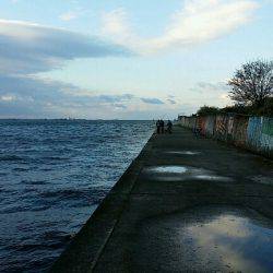 早朝タチウオまだいました。短い時合で2匹ゲット！